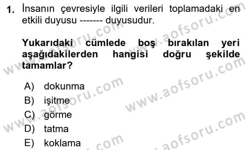 Görsel Web Tasarımı Dersi 2017 - 2018 Yılı 3 Ders Sınav Soruları 1. Soru