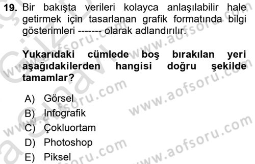 Görsel Web Tasarımı Dersi Ara Sınavı Deneme Sınav Soruları 19. Soru