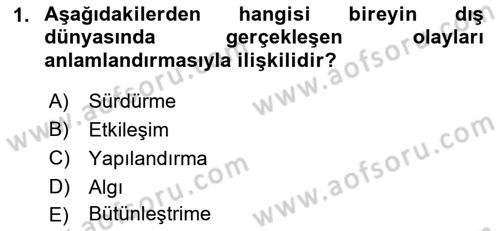 Görsel Web Tasarımı Dersi 2018 - 2019 Yılı (Final) Dönem Sonu Sınav Soruları 1. Soru