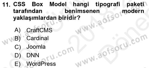 Görsel Web Tasarımı Dersi 2018 - 2019 Yılı (Final) Dönem Sonu Sınav Soruları 11. Soru