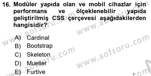 Görsel Web Tasarımı Dersi 2018 - 2019 Yılı Yaz Okulu Sınav Soruları 16. Soru