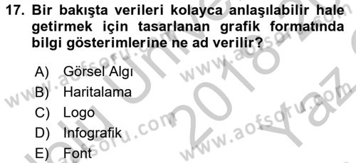 Görsel Web Tasarımı Dersi 2018 - 2019 Yılı Yaz Okulu Sınav Soruları 17. Soru