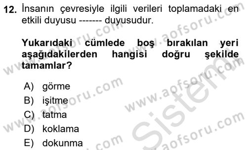 Görsel Web Tasarımı Dersi Ara Sınavı Deneme Sınav Soruları 12. Soru