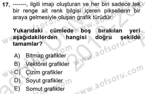 Görsel Web Tasarımı Dersi Ara Sınavı Deneme Sınav Soruları 17. Soru