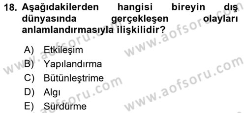 Görsel Web Tasarımı Dersi 2019 - 2020 Yılı (Vize) Ara Sınav Soruları 18. Soru