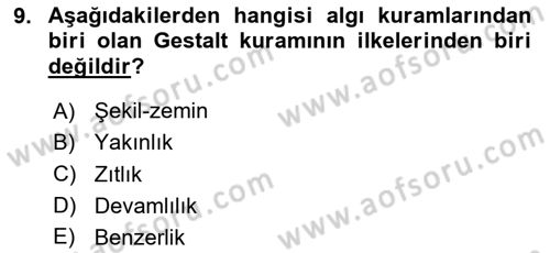 Görsel Web Tasarımı Dersi 2020 - 2021 Yılı Yaz Okulu Sınav Soruları 9. Soru