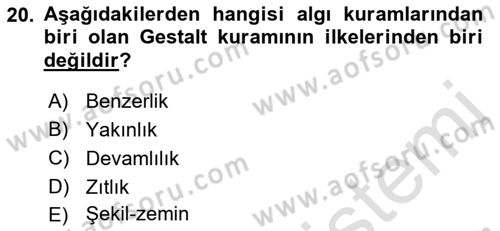 Görsel Web Tasarımı Dersi 2021 - 2022 Yılı (Vize) Ara Sınav Soruları 20. Soru