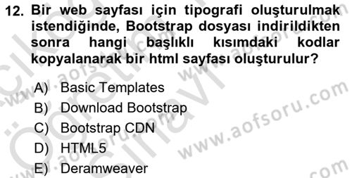 Görsel Web Tasarımı Dersi 2021 - 2022 Yılı Yaz Okulu Sınav Soruları 12. Soru