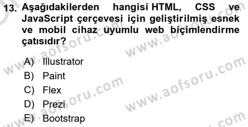 Görsel Web Tasarımı Dersi 2021 - 2022 Yılı Yaz Okulu Sınav Soruları 13. Soru