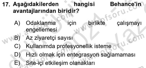 Görsel Web Tasarımı Dersi 2021 - 2022 Yılı Yaz Okulu Sınav Soruları 17. Soru