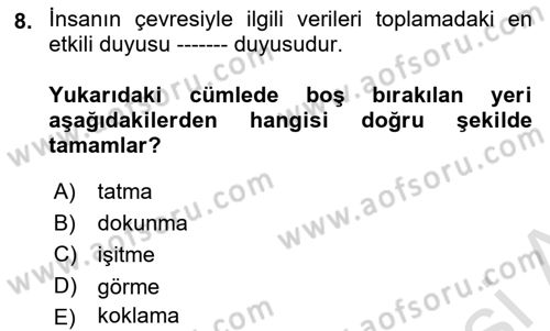 Görsel Web Tasarımı Dersi 2021 - 2022 Yılı Yaz Okulu Sınav Soruları 8. Soru