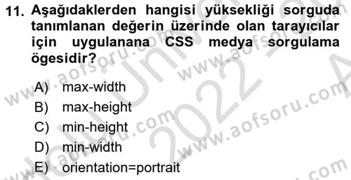 Görsel Web Tasarımı Dersi 2022 - 2023 Yılı (Vize) Ara Sınav Soruları 11. Soru