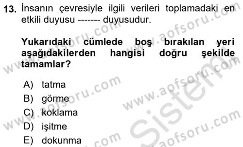 Görsel Web Tasarımı Dersi 2022 - 2023 Yılı (Vize) Ara Sınav Soruları 13. Soru