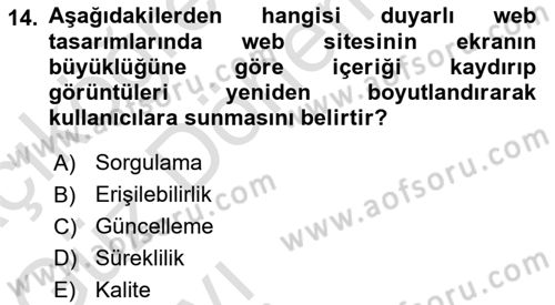 Görsel Web Tasarımı Dersi 2022 - 2023 Yılı (Vize) Ara Sınav Soruları 14. Soru