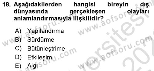 Görsel Web Tasarımı Dersi 2022 - 2023 Yılı (Vize) Ara Sınav Soruları 18. Soru