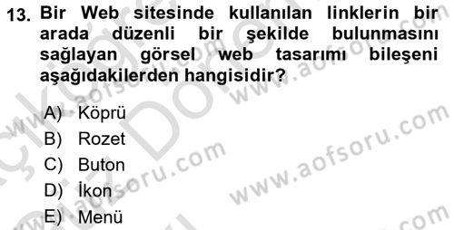 Görsel Web Tasarımı Dersi 2023 - 2024 Yılı (Vize) Ara Sınav Soruları 13. Soru
