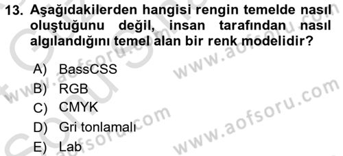 Görsel Web Tasarımı Dersi 2023 - 2024 Yılı (Final) Dönem Sonu Sınav Soruları 13. Soru