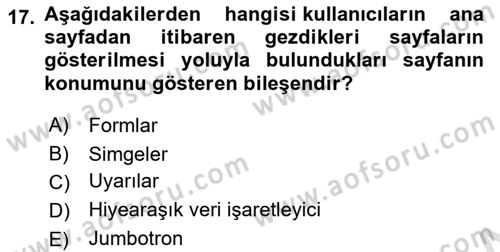 Görsel Web Tasarımı Dersi 2023 - 2024 Yılı (Final) Dönem Sonu Sınav Soruları 17. Soru