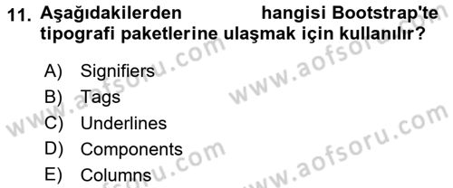 Görsel Web Tasarımı Dersi 2023 - 2024 Yılı Yaz Okulu Sınav Soruları 11. Soru