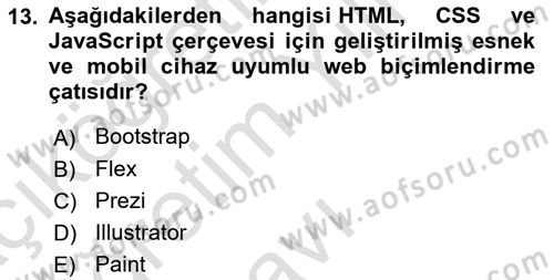 Görsel Web Tasarımı Dersi 2023 - 2024 Yılı Yaz Okulu Sınav Soruları 13. Soru