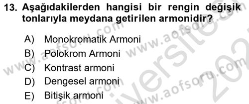 Görsel Web Tasarımı Dersi 2024 - 2025 Yılı (Final) Dönem Sonu Sınav Soruları 13. Soru