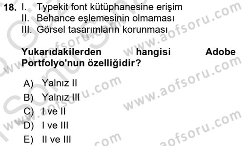 Görsel Web Tasarımı Dersi 2024 - 2025 Yılı (Final) Dönem Sonu Sınav Soruları 18. Soru