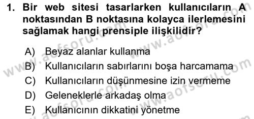Görsel Web Tasarımı Dersi 2024 - 2025 Yılı Yaz Okulu Sınav Soruları 1. Soru