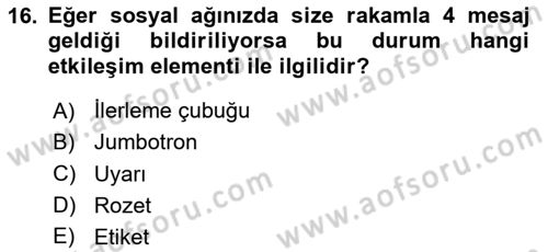 Görsel Web Tasarımı Dersi 2024 - 2025 Yılı Yaz Okulu Sınav Soruları 16. Soru