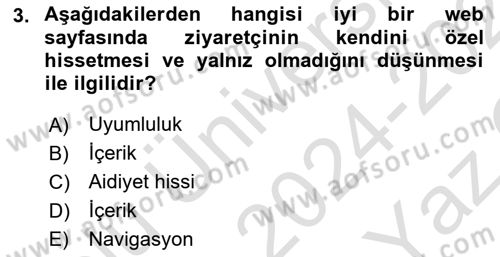 Görsel Web Tasarımı Dersi 2024 - 2025 Yılı Yaz Okulu Sınav Soruları 3. Soru