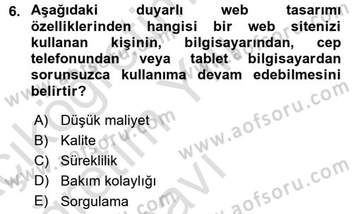 Görsel Web Tasarımı Dersi 2024 - 2025 Yılı Yaz Okulu Sınav Soruları 6. Soru
