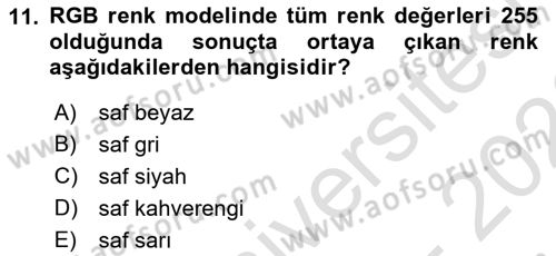 Görsel Web Tasarımı Dersi 2025 - 2026 Yılı (Final) Dönem Sonu Sınav Soruları 11. Soru