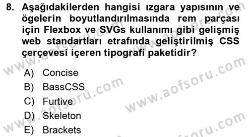 Görsel Web Tasarımı Dersi 2025 - 2026 Yılı (Final) Dönem Sonu Sınav Soruları 8. Soru