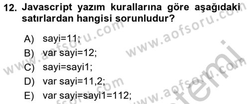 İnternet Tabanlı Programlama Dersi 2018 - 2019 Yılı Yaz Okulu Sınav Soruları 12. Soru