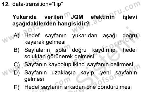 İnternet Tabanlı Programlama Dersi 2020 - 2021 Yılı Yaz Okulu Sınav Soruları 12. Soru