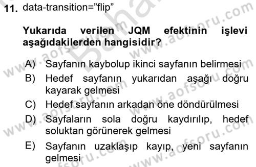 İnternet Tabanlı Programlama Dersi 2021 - 2022 Yılı (Final) Dönem Sonu Sınav Soruları 11. Soru