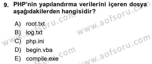İnternet Tabanlı Programlama Dersi 2023 - 2024 Yılı (Vize) Ara Sınav Soruları 9. Soru