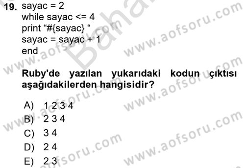 İnternet Tabanlı Programlama Dersi 2023 - 2024 Yılı (Final) Dönem Sonu Sınav Soruları 19. Soru