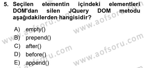 İnternet Tabanlı Programlama Dersi 2023 - 2024 Yılı (Final) Dönem Sonu Sınav Soruları 5. Soru