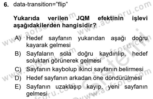 İnternet Tabanlı Programlama Dersi 2023 - 2024 Yılı (Final) Dönem Sonu Sınav Soruları 6. Soru