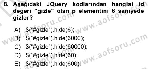 İnternet Tabanlı Programlama Dersi 2023 - 2024 Yılı (Final) Dönem Sonu Sınav Soruları 8. Soru