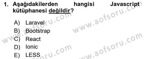 İnternet Tabanlı Programlama Dersi 2023 - 2024 Yılı Yaz Okulu Sınav Soruları 1. Soru