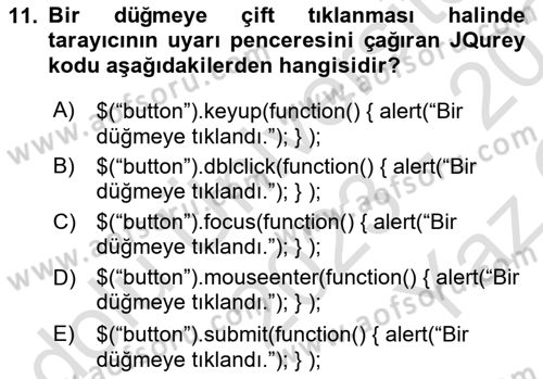 İnternet Tabanlı Programlama Dersi 2023 - 2024 Yılı Yaz Okulu Sınav Soruları 11. Soru