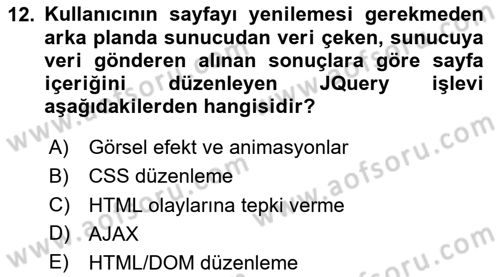 İnternet Tabanlı Programlama Dersi 2023 - 2024 Yılı Yaz Okulu Sınav Soruları 12. Soru