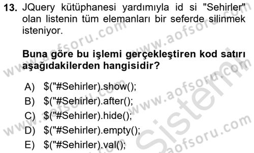 İnternet Tabanlı Programlama Dersi 2023 - 2024 Yılı Yaz Okulu Sınav Soruları 13. Soru