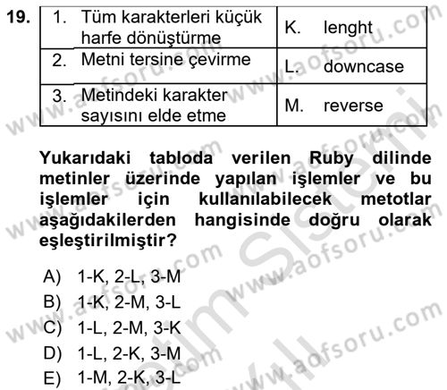 İnternet Tabanlı Programlama Dersi 2023 - 2024 Yılı Yaz Okulu Sınav Soruları 19. Soru