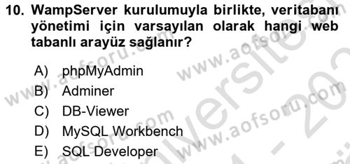 İnternet Tabanlı Programlama Dersi 2024 - 2025 Yılı (Vize) Ara Sınav Soruları 10. Soru