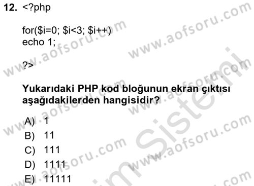 İnternet Tabanlı Programlama Dersi 2024 - 2025 Yılı (Vize) Ara Sınav Soruları 12. Soru