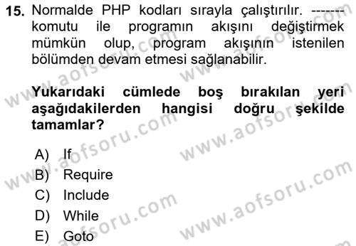 İnternet Tabanlı Programlama Dersi 2024 - 2025 Yılı (Vize) Ara Sınav Soruları 15. Soru