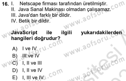 İnternet Tabanlı Programlama Dersi 2024 - 2025 Yılı (Vize) Ara Sınav Soruları 16. Soru