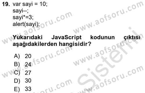 İnternet Tabanlı Programlama Dersi 2024 - 2025 Yılı (Vize) Ara Sınav Soruları 19. Soru